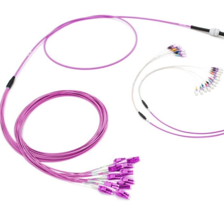 LANmark-OF ENSPACE Patching Assembly OM4 x24F DLC(2mm)-LC(900µm) fan out A 1m xxxm LSZH Violet