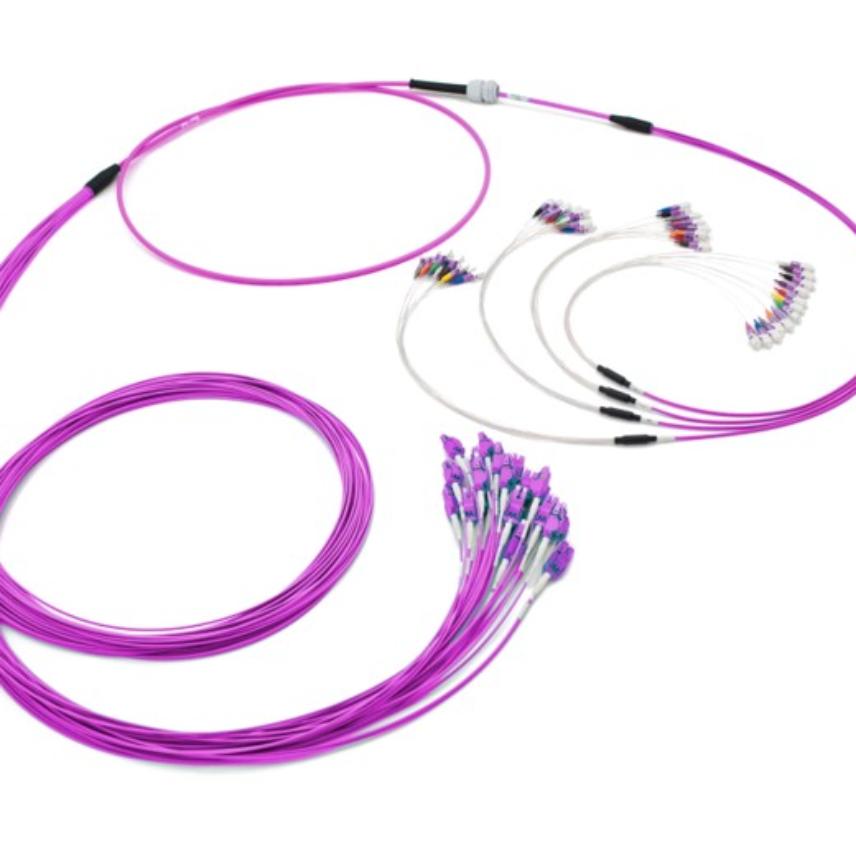 LANmark-OF ENSPACE Patching Assembly OM4 x48F DLC(2mm)-LC(900µm) fan out A 1m xxxm LSZH Violet